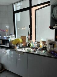 Parc Oasis (D22), Condominium #466032711